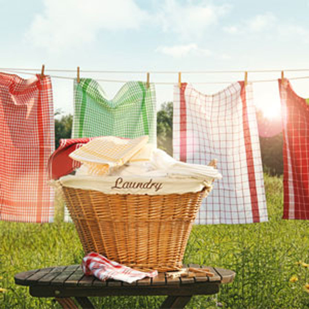 Country Clothesline