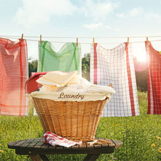 Country Clothesline