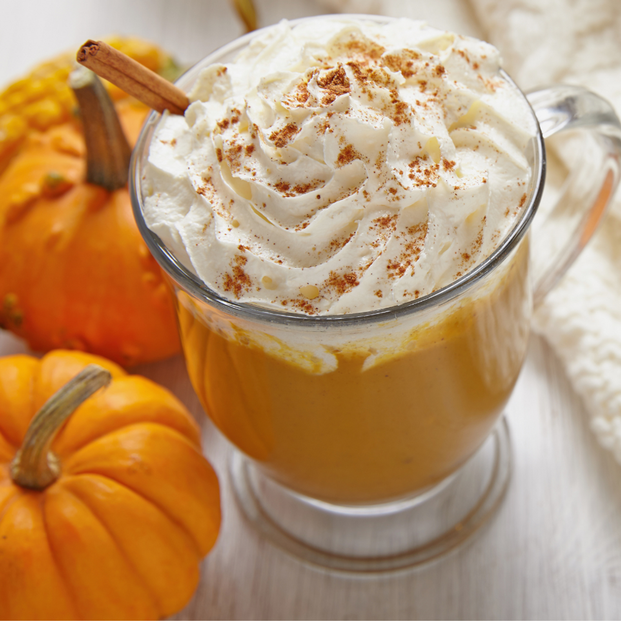 Pumpkin & Cream