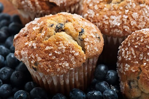 Blueberry Muffin