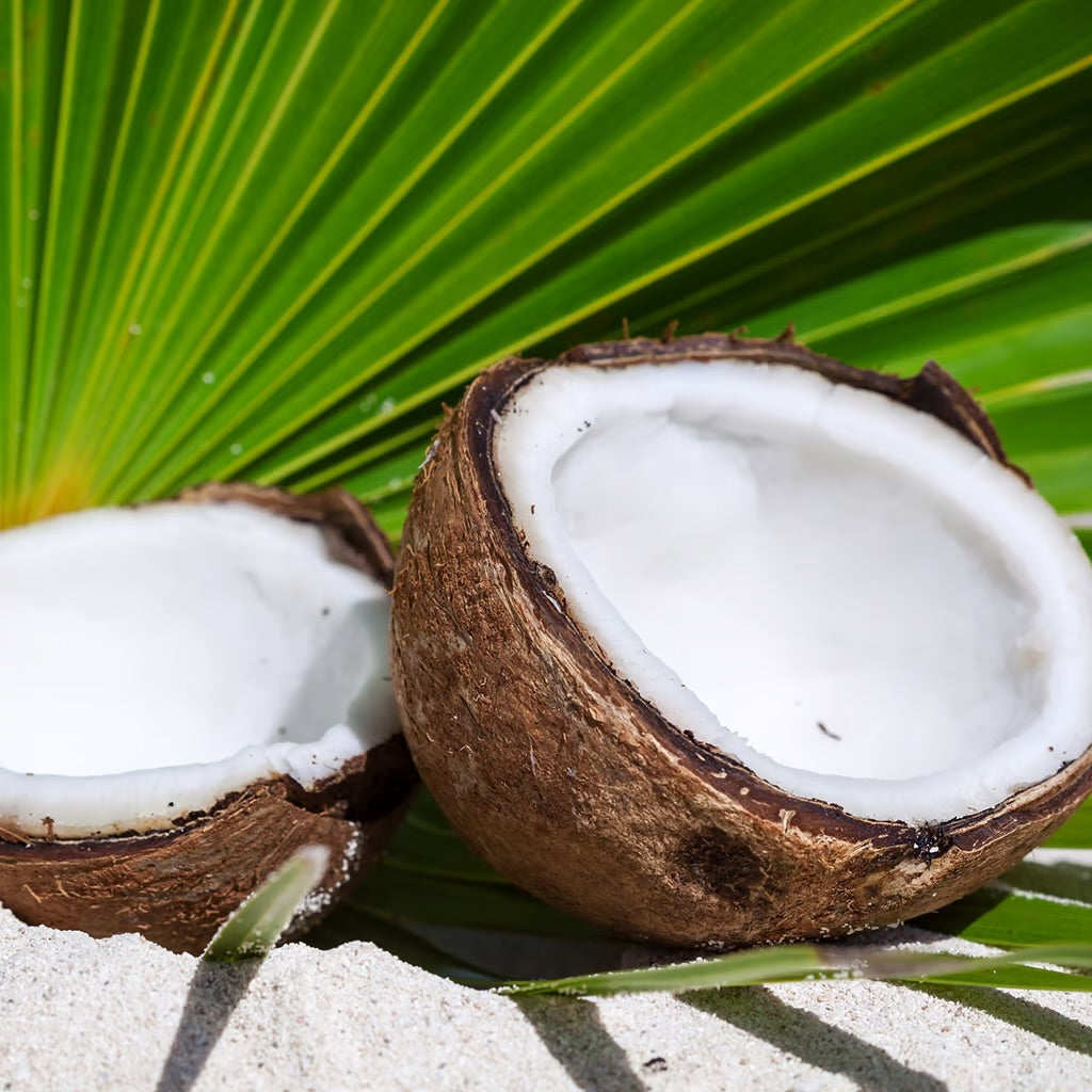 Exotic Coconut