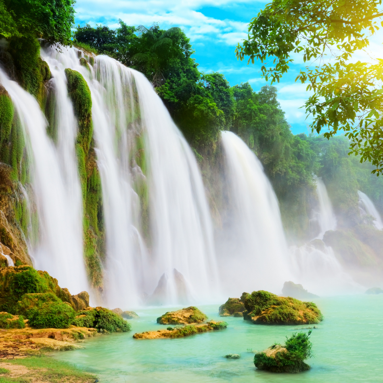 Tahitian Waterfall