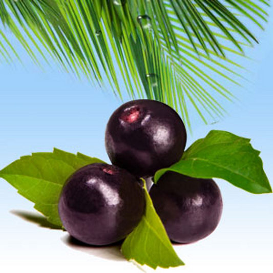 Acai Berry