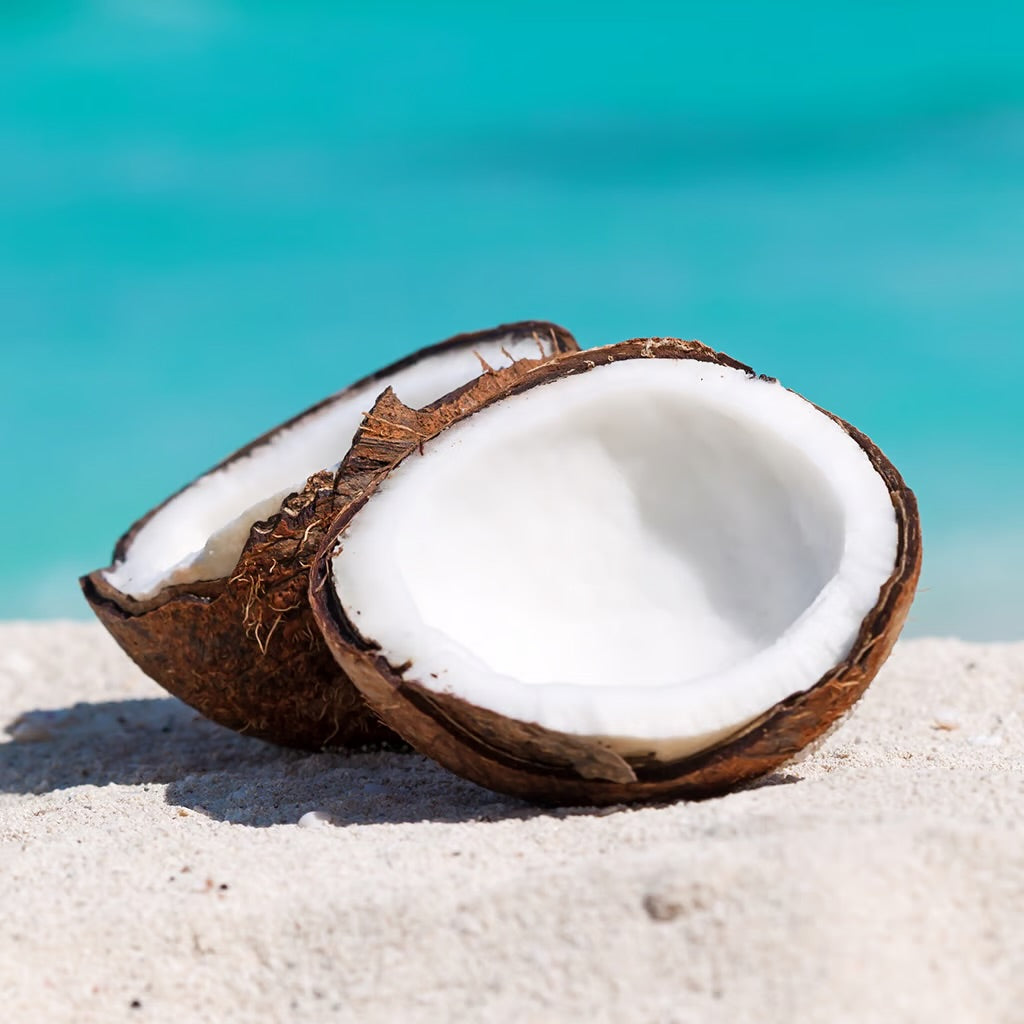 Coconut