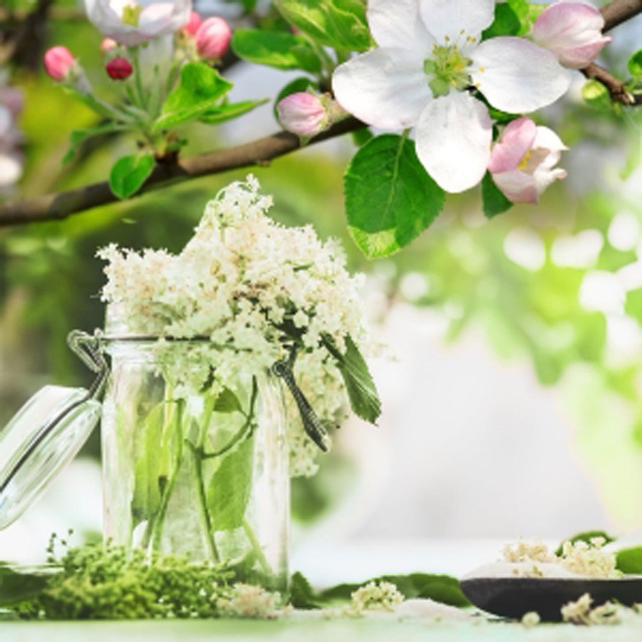 Elderflower & Apple Blossom