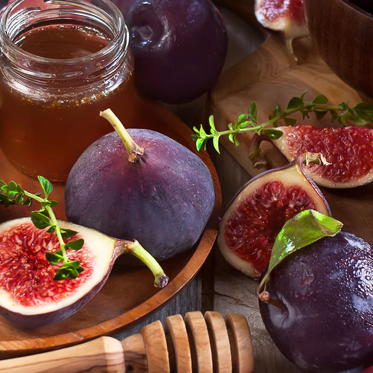 Sugar Plums & Figs