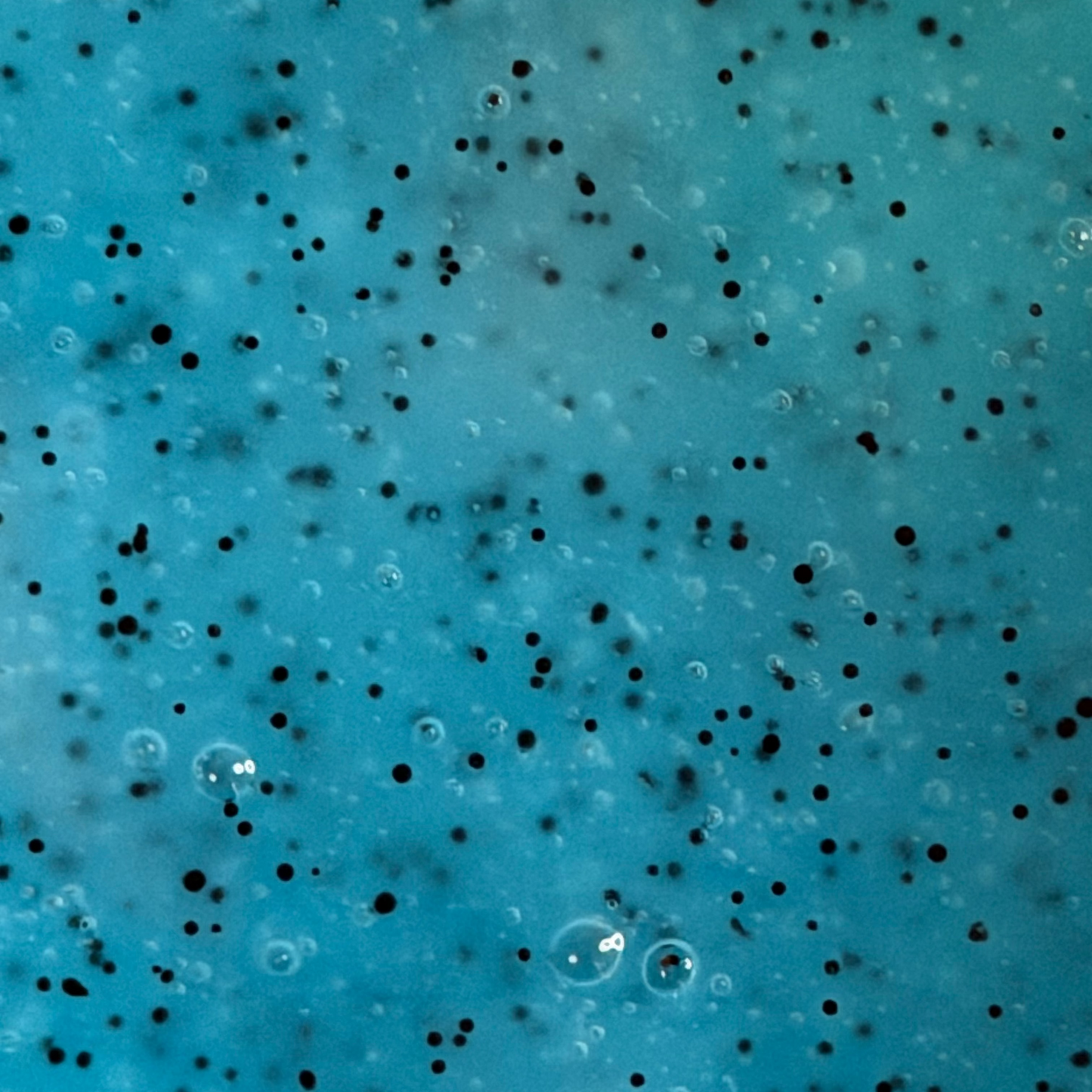 Jojoba Scrub Body Wash