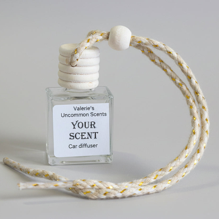 Car or small space Diffuser 500 Scents Available!!